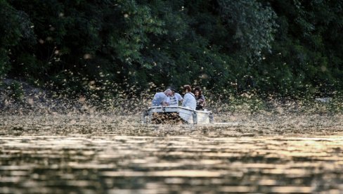 ČETIRI DANA ZABAVE NA OBALI TISE: Ova varoš u Srbiji krajem avgusta postaje veliki festival