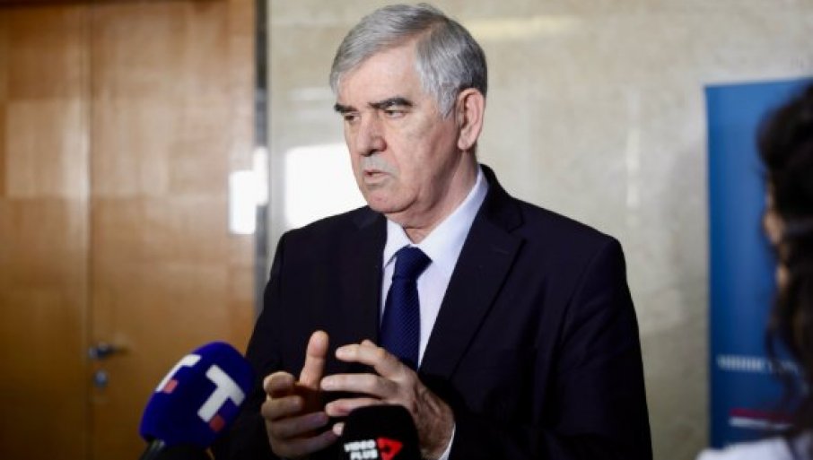 "DOSTOJANSTVO NE PRESTAJE PRESUDOM" Beriša o slučaju Ratka Mladića