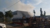 ПОЗНАТО У КОМ СУ СТАЊУ ПОВРЕЂЕНИ: Нови детаљи о огромном пожару у Индустријској зони у Новом Саду (ФОТО)