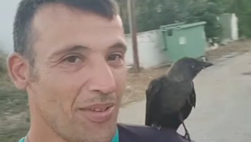 Ватрогасац спасао чавку, захвалила му се на чудесан начин (ВИДЕО)
