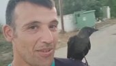 Vatrogasac spasao čavku, zahvalila mu se na čudesan način (VIDEO)