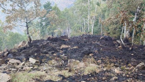 TINJAJU STOLOVI I GOČ: Vatrogasci nastavljaju borbu sa vatrenom stihijom (FOTO)