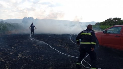 GORELI HEKTARI BOROVE I MEŠOVITE ŠUME: Lokalizovan požar u Gornjoj Lopušnji kod Vlasotinca