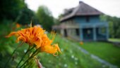 ЗАКОН ЈЕ НА СТРАНИ ДОМАЋИНА: Око 200.000 хектара земље стоји нам на кућном прагу