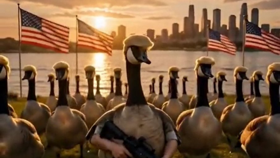 KANADSKE GUSKE PATROLIRAJU „JEZEROM AMERIKA“: Tramp objavio neobičan vidoe na svojoj društvenoj mreži (VIDEO)