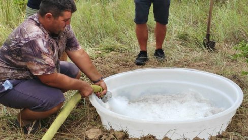 UZNEMIRENOJ DIVLJAČI DONOSE VODU: Lovci pomažu životinjama iz Deliblatske peščare da prebrode teške posledice požara (FOTO)