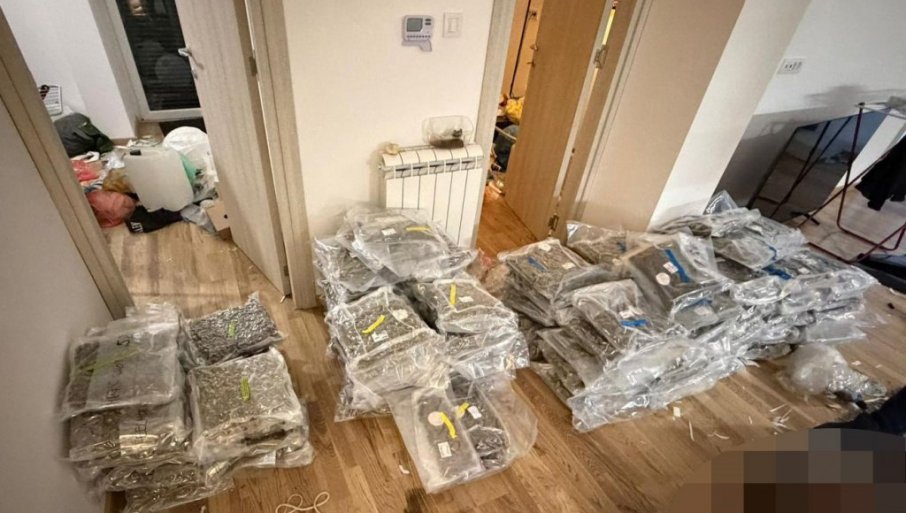 AKCIJA UKP MUP SRBIJE: Zaplenjeno više od 200 kilograma raznih narkotika (FOTO)
