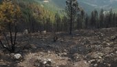 СТОЛОВИ ОДОЛЕЛИ СТИХИЈИ: Коначно локализован пожар на планини повише Краљева