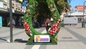 SUTRA OTVARANJE LJKI: U Požarevcu trodnevni praznik konjičkog sporta