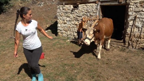 MILICA DOMAĆIN NA OGNJIŠTU PRADEDOVA: Porodica Katić iz Donje Trešnjice, bez mehanizacije, živi isključivo od poljoprivrede (FOTO)