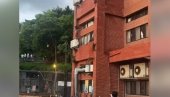 POGLEDAJTE - NOVI SEMESTAR, NOVI CIMERI: Majmuni se uselili u studentski dom (VIDEO)