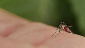 ГРОЗНИЦА ЗАПАДНОГ НИЛА СЕ ШИРИ СРБИЈОМ: До сад забележено 37 случајева оболелих, ево како да се заштитите