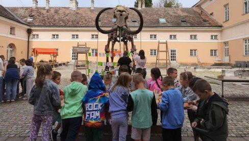 „MAMUTFEST“ U KIKINDI: Slavi se pronalazak Kikinog skeleta (FOTO)