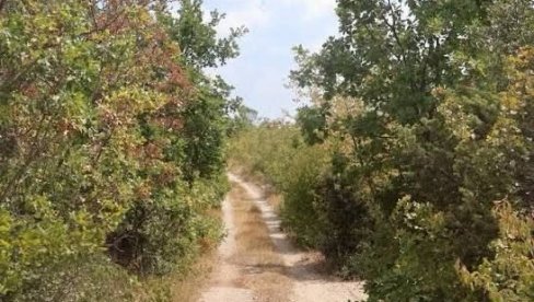 UNIŠTAVANJE NEEKSPLODIRANIH UBOJNIH SREDSTAVA: Na lokaciji Mala Brezovica od 21. do 28. septembra