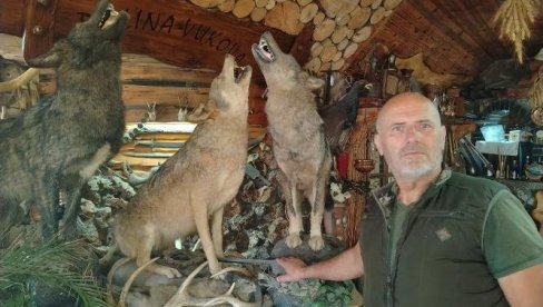 ODSTRELIO ČAK 51 VUKA: Meho Ugljanin iz Sjenice najuspešniji lovac na Balkanu i jedan od najboljih u Evropi