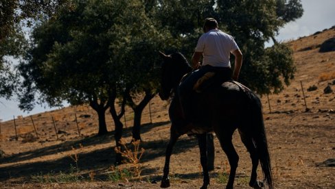 POLJOPRIVREDNIKE IMAJU SVE ZEMLJE: Ne postoji nijedna zemlja na svetu koja se ne bavi poljoprivredom
