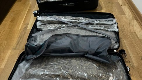 SA KIM DOVEZLI KANABIS, PA UHAPŠENI: Primopredaja 40 kilograma narkotika u Obrenovcu