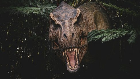 VELIKO NAUČNO OTKRIĆE: Evo šta je analiza fosilnih zuba tiranosaurus reksa pokazala, iznenadićete se