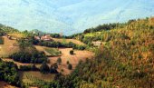 SRPSKA TOSKANA SAVRŠENA ZA VOĆE Delovi Srbije i vrste voća koje na njima treba saditi
