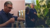 GOSTOPRIMSTVO JEDNAKO KVALITETU VINA Predsednik Vučić pohvalio porodicu Madžić