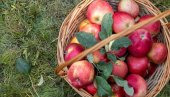 JESTE ZDRAVO, ALI: Ovo su izazovi i prednosti organske proizvodnje voća