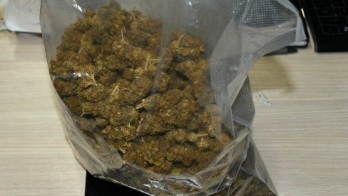 SMEDEREVAC BUSOM PRENOSIO 390 GRAMA MARUHUANE