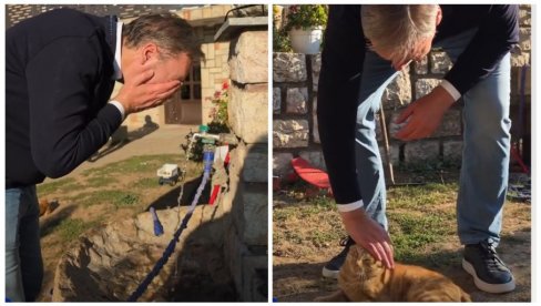 VUČIĆ OTKRIO ŠTA MU JE POPRAVILO RASPOLOŽENJE: Posle vožnje i umivanja – druženje sa Žuletom (VIDEO)