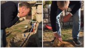 VUČIĆ OTKRIO ŠTA MU JE POPRAVILO RASPOLOŽENJE: Posle vožnje i umivanja – druženje sa Žuletom (VIDEO)