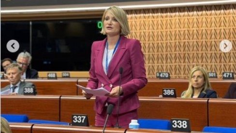 PANTIĆ PILJA ŽESTOKO U STRAZBURU O KIM: Međunarodno pravo nije jelovnik sa kojeg birate šta vam politički odgovara (FOTO)