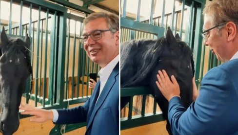 NEOBIČAN SUSRET: Vučić podelio snimak posete porodici Stojanović, evo koga je tamo upoznao (VIDEO)