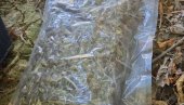 DROGA U AUTIMA: Uhapšen osumnjičeni, tužilaštvo traži pritvor