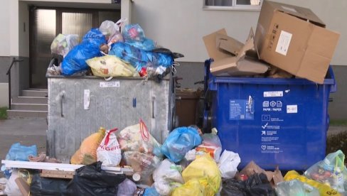 NA ULICAMA GOZBA VRANA I PACOVA... Šta se dešava sa hrvatskom prestonicom? (VIDEO)