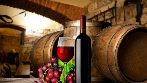 KADA ZA VINO KAŽEMO DA JE ORGANSKO? Vinar otkrio tajnu - ovo malo ko zna!
