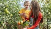 VOJVODINA DELI MILIONE: Organska proizvodnja postaje zlatna šansa