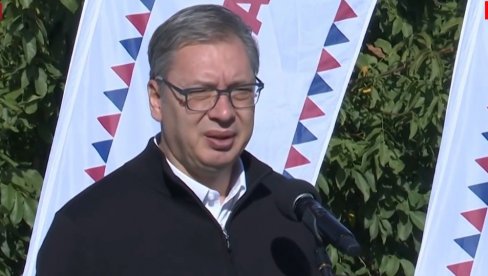 Vučić o Petom oktobru: Tada je pala presuda Srbiji, a sve je počelo sastancima u Budimpešti