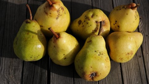 KRUŠKA OVE GODINE PODBACILA: Viljamovke manje, a deo roda završava u rakiji