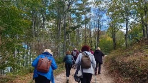 NORDIJSKO HODANJE KAO TERAPIJA: Novi program u kragujevačkom Domu zdravlja