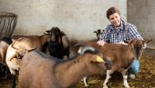 SUBVENCIJE PODIŽU EFIKASNOST POLJOPRIVREDE: Kako ulaganja u mehanizaciju i stočarstvo povećavaju prinos i smanjuju troškove