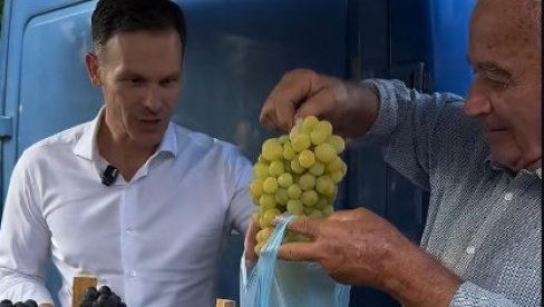 TOPOLA - VINSKA PRESTONICA ŠUMADIJE: Mali dobio grožđe na poklon, podelio utiske, pa pozvao građane da glasaju za oučvanje ove lepote