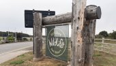 TRAGEDIJA U ZOO-VRTU U ENGLESKOJ: Tigar ubio posetioca, park privremeno zatvoren