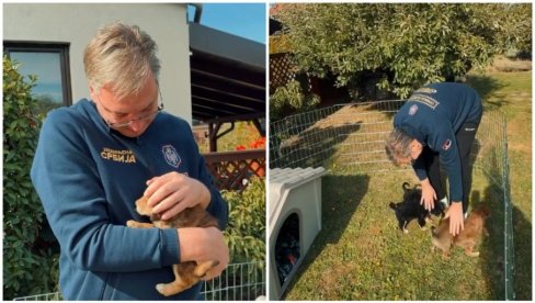 HVALA ŠTO STE ME IZABRALI ZA SVOG ČOVEKA Vučić uputio neobičnu molbu građanima i podelio snimak koji će raznežiti sve (VIDEO)