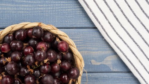 HIBRIDI KOJI OSVAJAJU TRŽIŠTE: Upoznajte jostu - vitaminsku bombu bez trnja koja uspeva u Srbiji