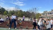 DVORIŠTE U CVETNOM RUHU: Akcija u OŠ 20. oktobar u Novom Beogradu