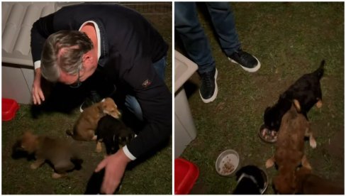 MAZA, LUNJA, KIKA I MIĆKO VAM SE ZAHVALJUJU! Vučić: Zalagaću se za bolju zaštitu životinja (VIDEO)