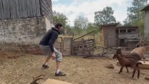Bobi Marjanović se latio muže koza, pa priznao: Ovo je teže od košarke!