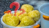 ЗА ЧВРСТЕ ГЛАВИЦЕ И ДОБАР РАСОЛ: Када је најбоље ставити купус у буре?