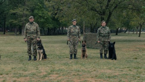 САБОРЦИ - ВОЈНИК И ПАС: У строју међу четвороножним припадницима ВС, вечерас на ТВ Newsmax Balkans 20.10