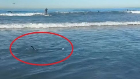 NEVEROVATAN PRIZOR NA POPULARNOJ PLAŽI: LJudi ostali u šoku kada su videli šta se nalazi u plićaku (VIDEO)