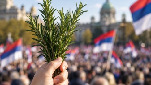ZAŠTO SE RUZMARIN ORI NA SKUPOVIMA? Pesma Merime NJegomir posle 33 godine dobila novo značenje
