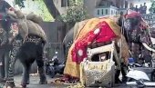 UZNEMIRUJUĆI SNIMCI IZ INDIJE, SLON PODIVLJAO NA FESTIVALU: Prevrnuti automobili i oštećene zgrade (VIDEO)